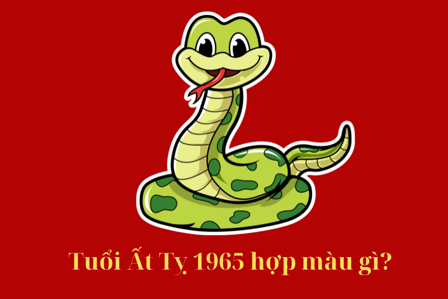 1965 Hợp Màu Gì? Màu Sắc May Mắn và Tài Lộc Cho Tuổi Ất Tỵ