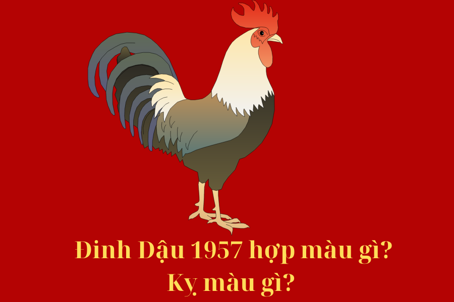 1957 Hợp Màu Gì? Màu Sắc May Mắn và Tài Lộc Cho Tuổi Đinh Dậu