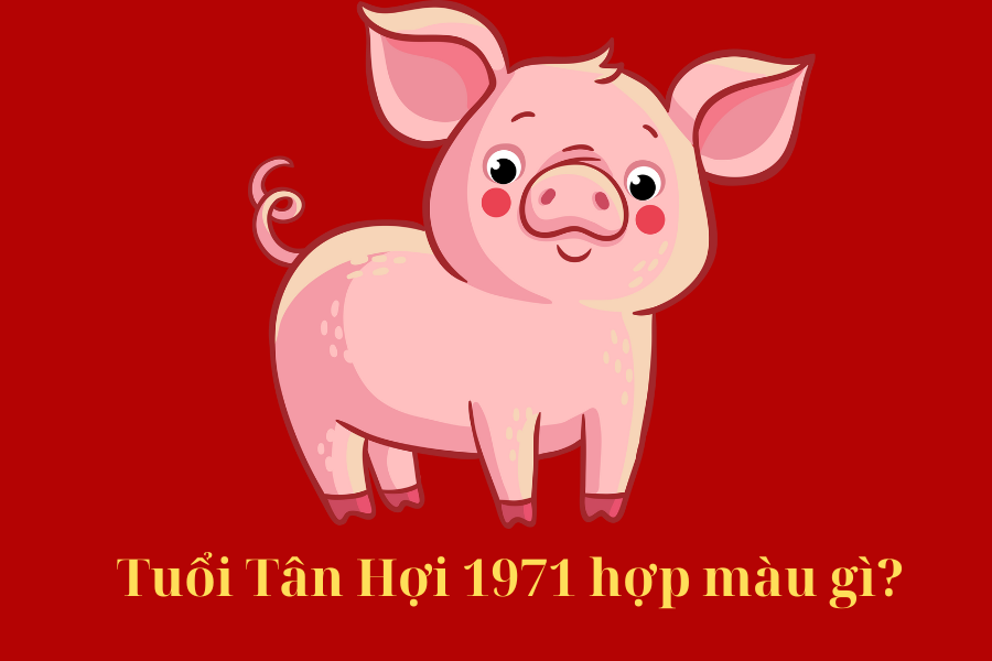 1971 Hợp Màu Gì? Màu Sắc May Mắn và Tài Lộc Cho Tuổi Tân Hợi