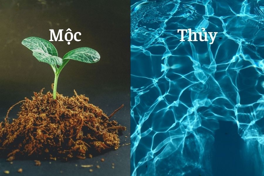 Thủy sinh Mộc
