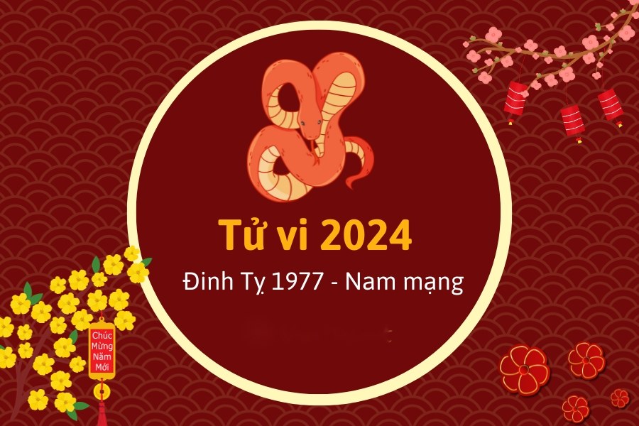 tử vi tuổi Đinh Tỵ nam mạng 2024