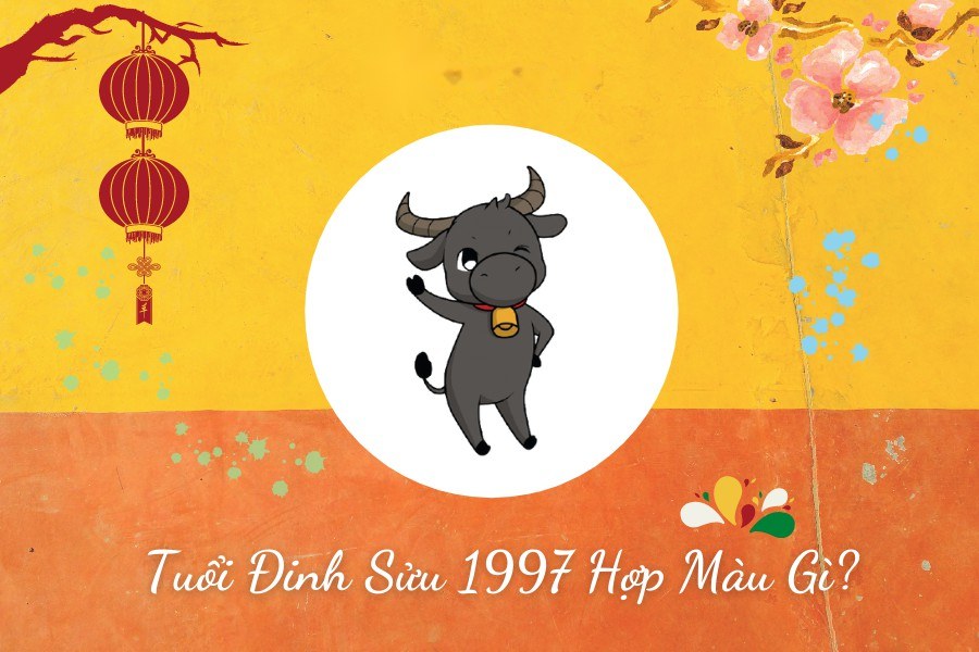Tuổi Đinh Sửu 1997 hợp màu gì?