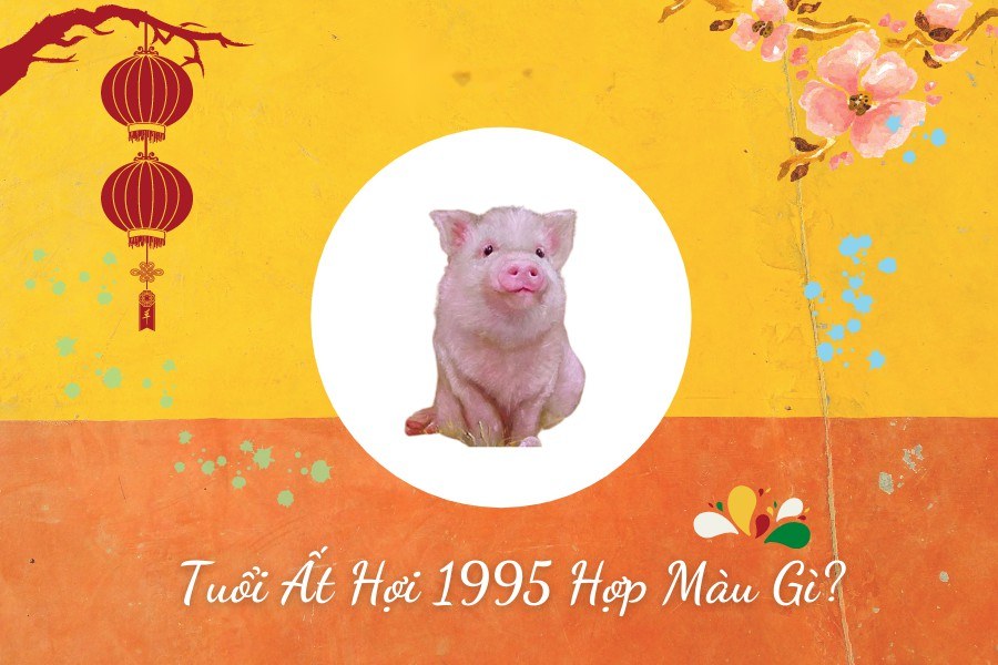 Tuổi Hợi 1995 hợp màu gì?