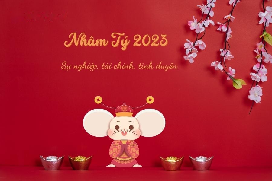Lá số tử vi về tài chính, kinh tế, sức khỏe của nam Nhâm Tý