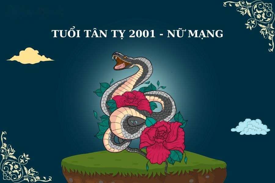 Diễn biến tử vi tuổi Tân Tỵ 2001