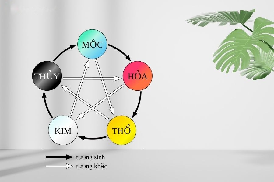 Nói về mối quan hệ tương sinh