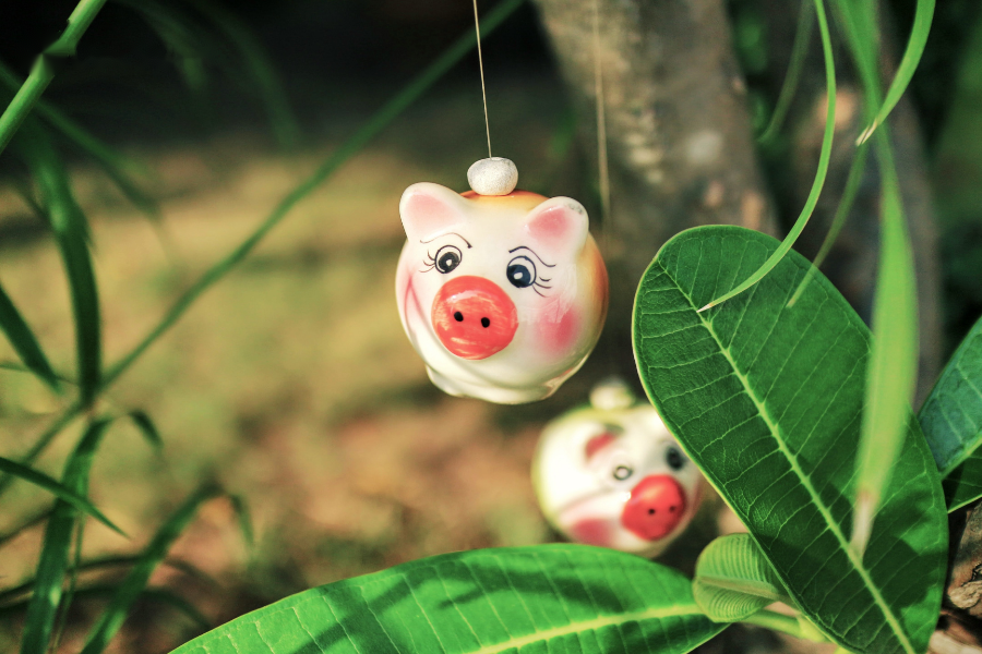 Xem tuổi hợp tuổi Hợi